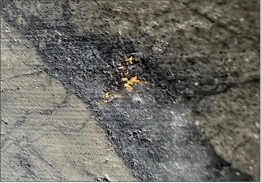 Photo 2 – Visible gold (mm scale) close up in WIL-22-14 11.00-11.50m